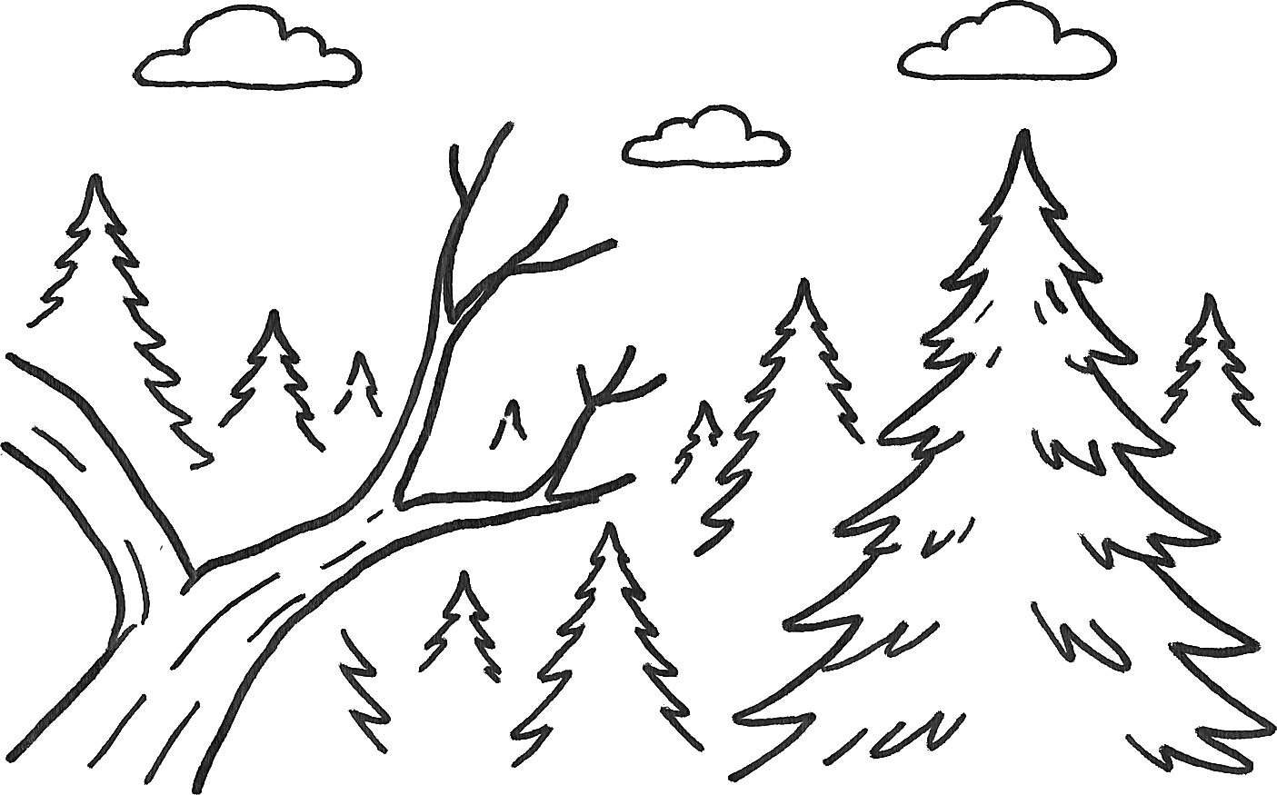 Illustration for ABOUT THE AUTHOR